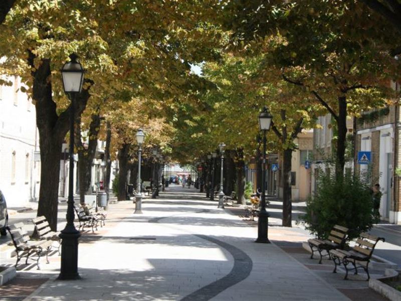 viale roma.jpg