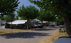Camping Spinnaker Camping Spinnaker